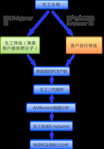 生工生物推出核酸適配體篩選試劑盒與服務(wù)，預(yù)訂享6折優(yōu)惠